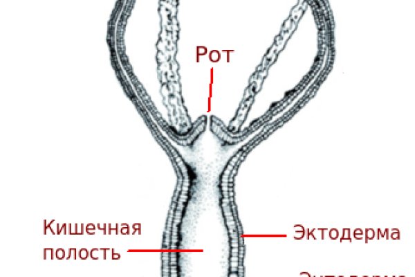 Кракен зеркало сайта