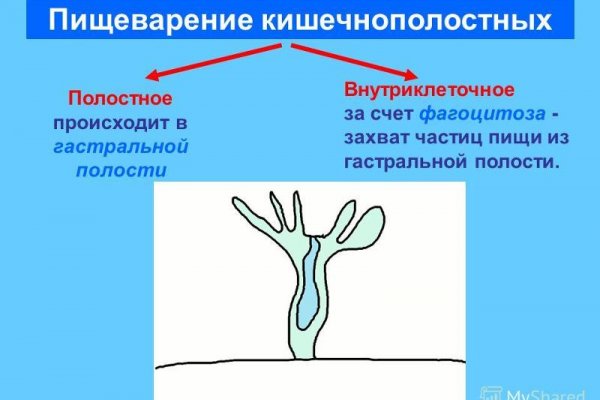 Сайты для даркнета