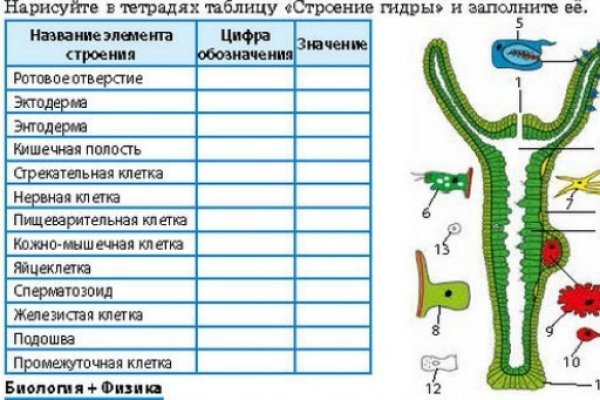 Кракен официальный