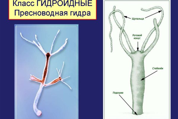 Оригинальные ссылки кракена