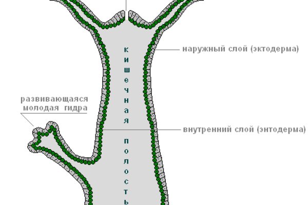 Магазин даркнета